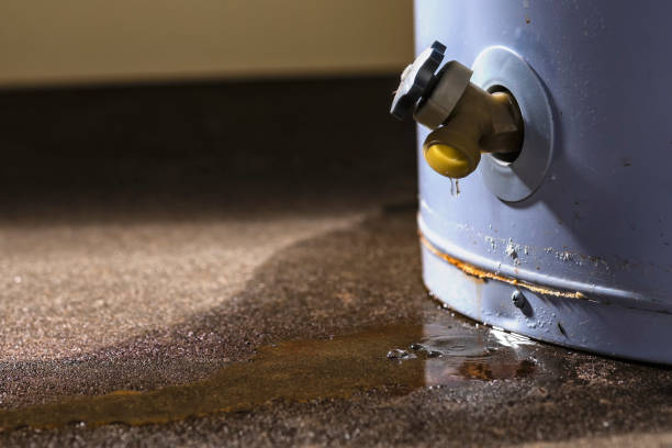 Best Commercial water damage restoration  in Mansfield, MO