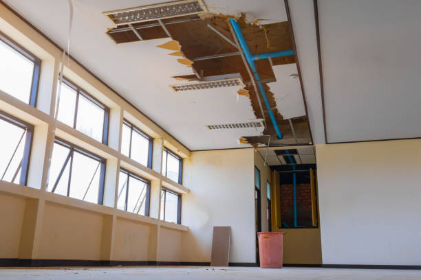 Best Flooded house restoration  in Mansfield, MO