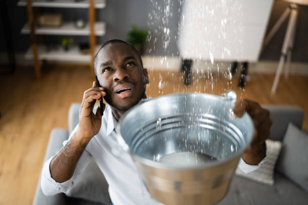 Best Basement water damage restoration  in Mansfield, MO