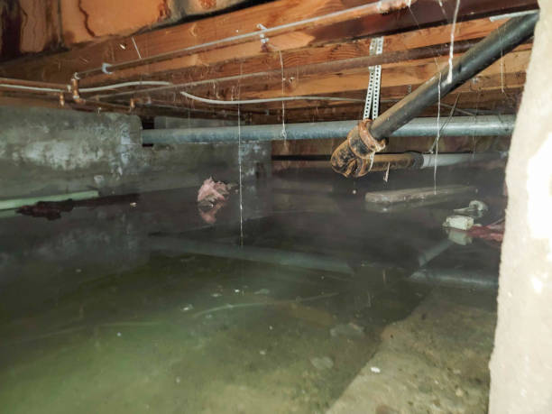 Best Fire Damage Restoration  in Mansfield, MO