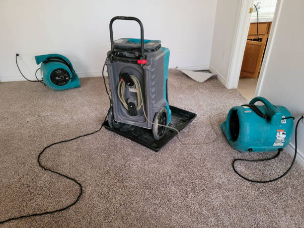 Best Professional water damage repair  in Mansfield, MO