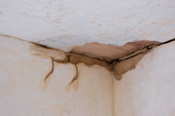 Best Water damage restoration near me  in Mansfield, MO
