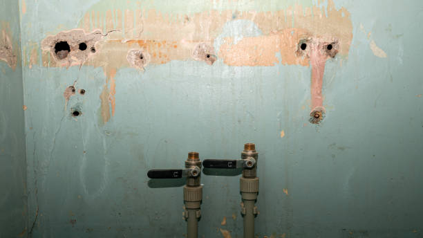 Best Local water damage restoration  in Mansfield, MO