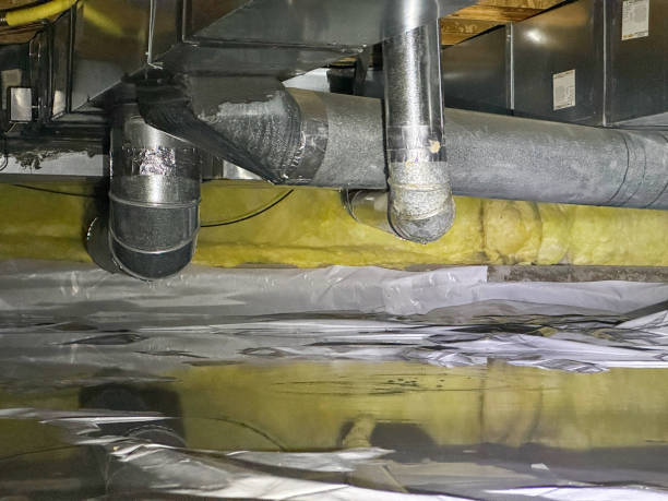 Best Commercial water damage restoration  in Mansfield, MO